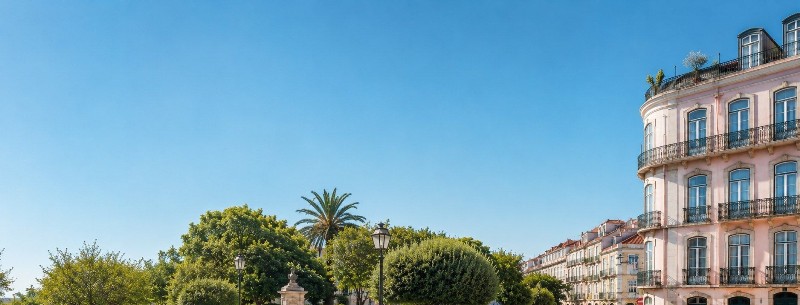 banner-image